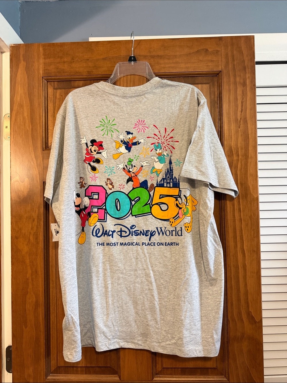 Disney World 2025 Graphic Tee - Heather Gray with Multicolor Print - NWT